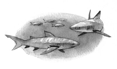 children's book illustration for Swimming with Sharks, watercolor illustration by Yong Chen