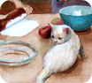 Ready for Thanksgiving with my cat
