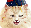 Cat greeting birthday