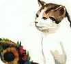 Cat and butterfly watercolor painting