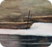 seabirds for greeting card