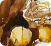 watercolor still-life