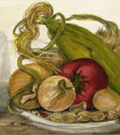 Watercolor painting still-life