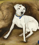 watercolor portrait painting of a dog