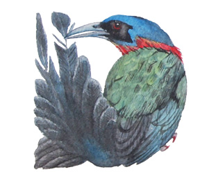 Watercolor painting of bird alphabet