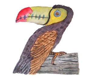 Watercolor painting of bird alphabet