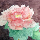 my first water color