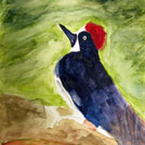 my first water color