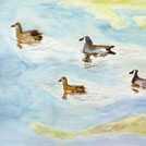 my first water color