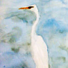 my first water color