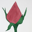 my first water color