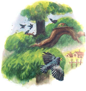 all that summer in between when you could still see the hat up there... Yong Chen watercolor illustratioon for children's book