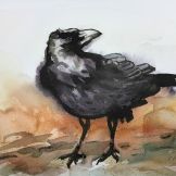 Bird Crow Watercolor