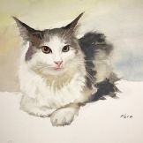 Cat Sit Watercolor