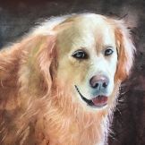 Dog Closeup Watercolor