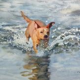 Dog Running Watercolor