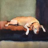 Dog Sleepy Watercolor