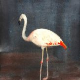 Flamingle Watercolor