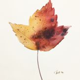 Leaf Watercolor