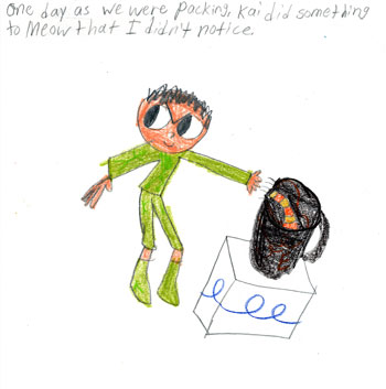 imagination and drawing of cat in an artistic girl's comic art and her loving story