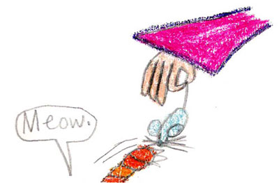 imagination and drawing of cat in an artistic girl's comic art and her loving story