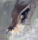 Oil paintings by kid, Kenrick Tsang