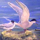 Oil paintings by kid, Kenrick Tsang